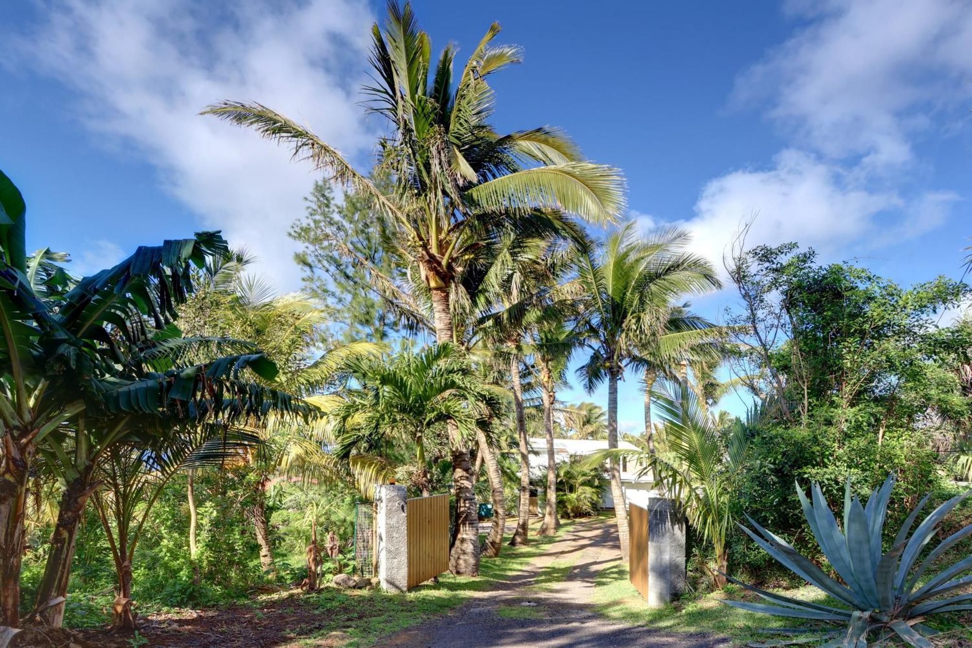 La Case Coco - Maison Climatisee A Saint-Joseph Extérieur photo